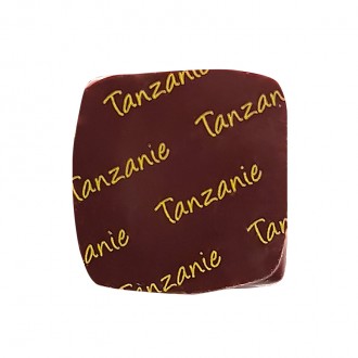 IC TANZANIE